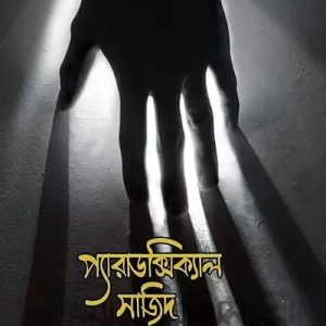 প্যারাডক্সিক্যাল সাজিদ ওয়ান